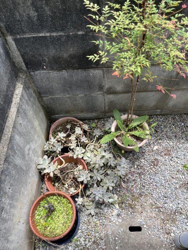画像0：兵庫県加古郡稲美町不用品回収