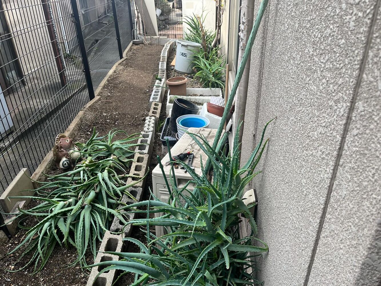 ブログ画像