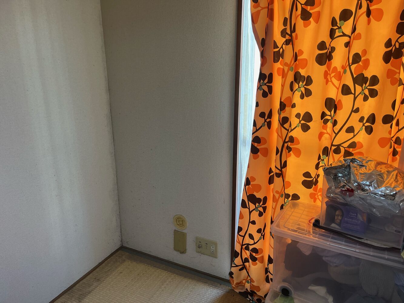 ブログ画像