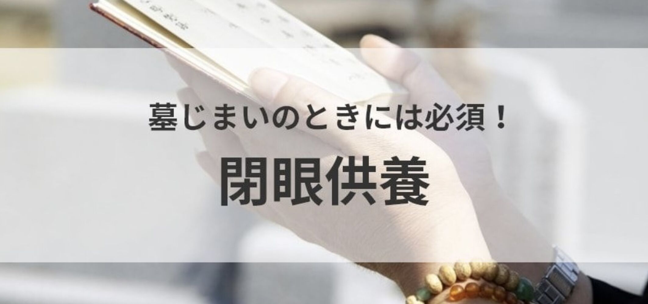 画像5145